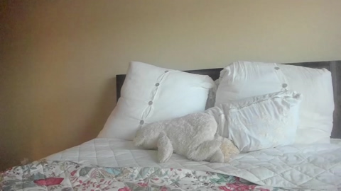 bigdicktrannynicole  16-05-2022